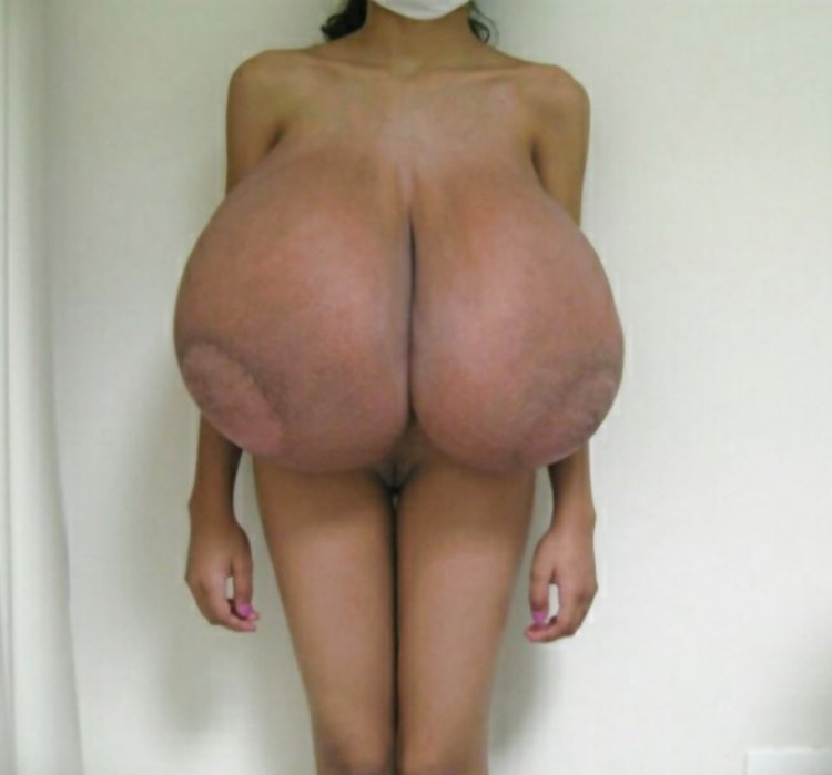 Фаранг Динг Донг Биг Титс