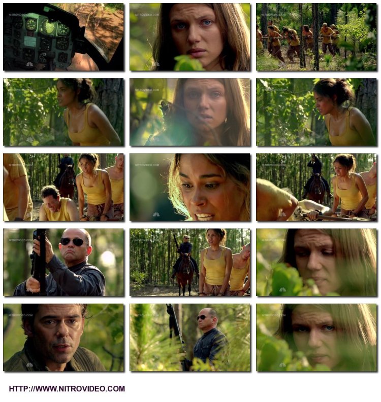 Даниэлла Алонсо голая xxx