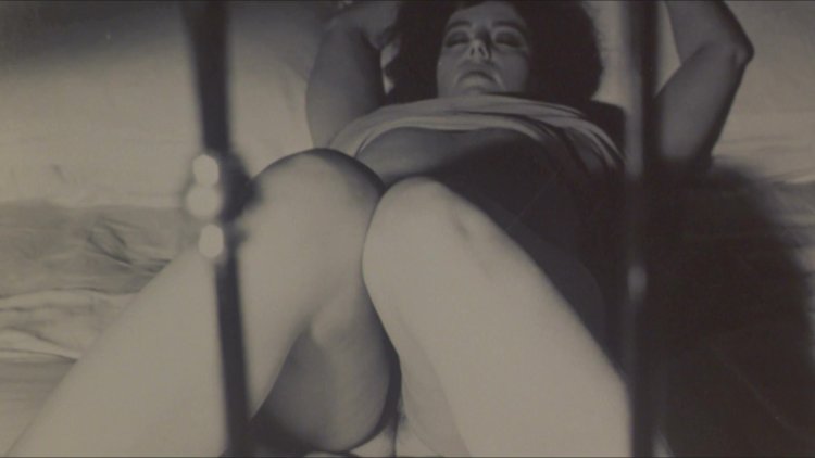 Стефания Сандрелли голая тинто брасс