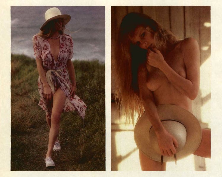 Ким Бэсинджер в порнографии