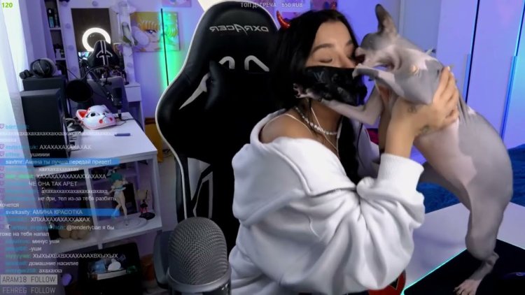 Амина ахелсон