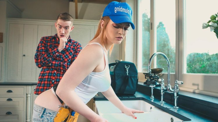 Девушки и сантехник фильм