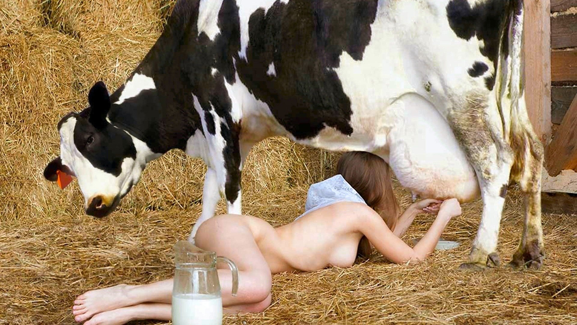 порно на дойках у коровы фото 36