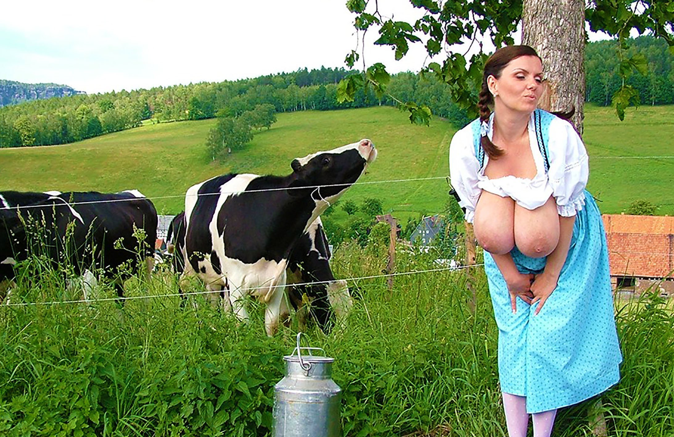 порно дойка коровы фото 35