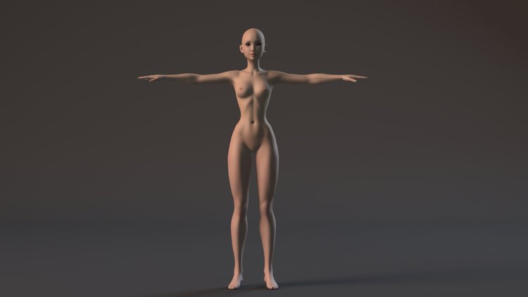 Компьютерная модель голой женщины