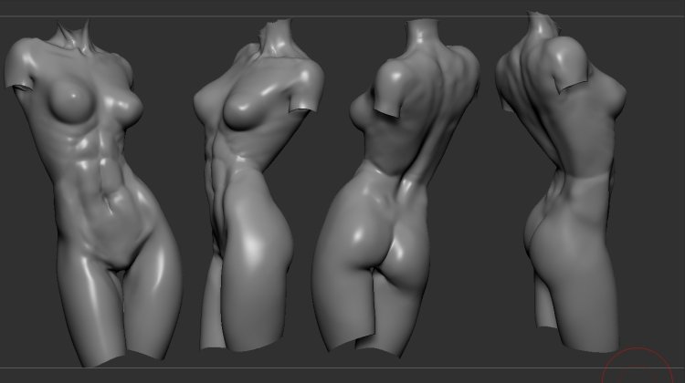 Женский торс 3d модель