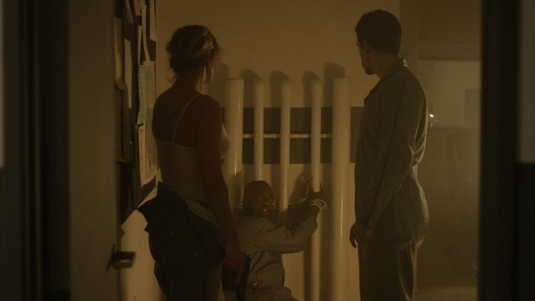 Зои каскадер