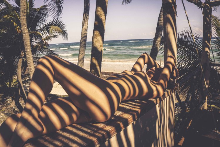 Британи бод фотомодель