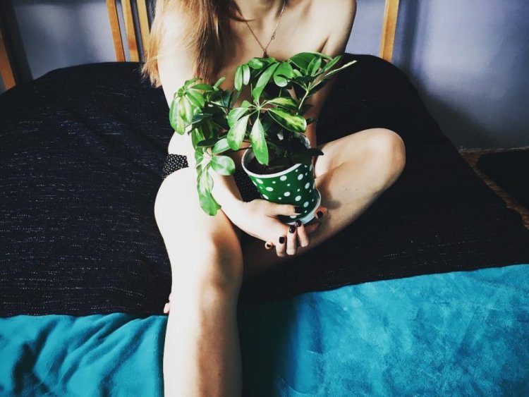 День голого садовника