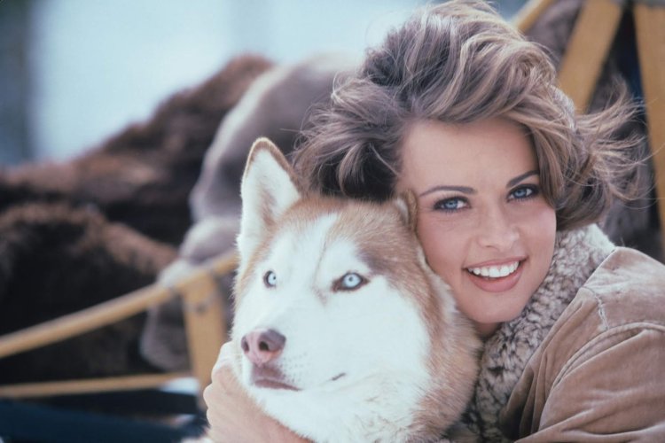 Карен МОК ню