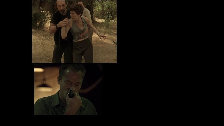 Лесли Хоуп фейк