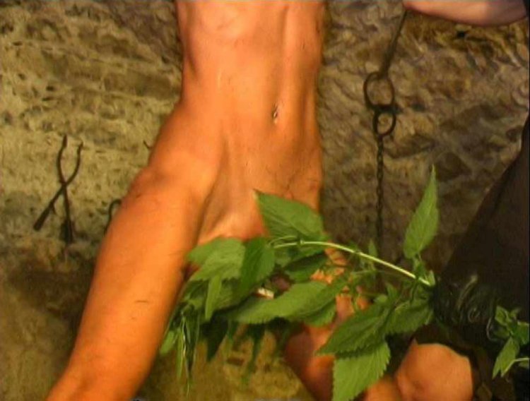 Порно с крапивой