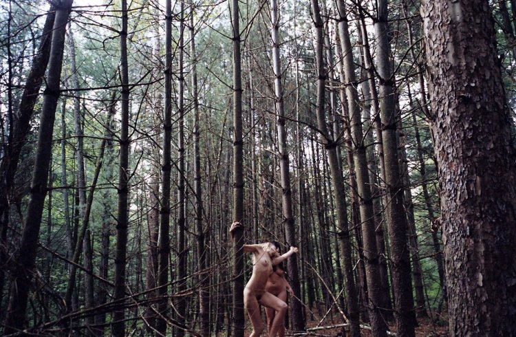 Фотосессии в лесу