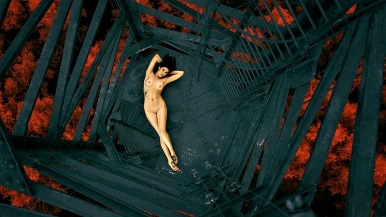 Александр Бычевский ню