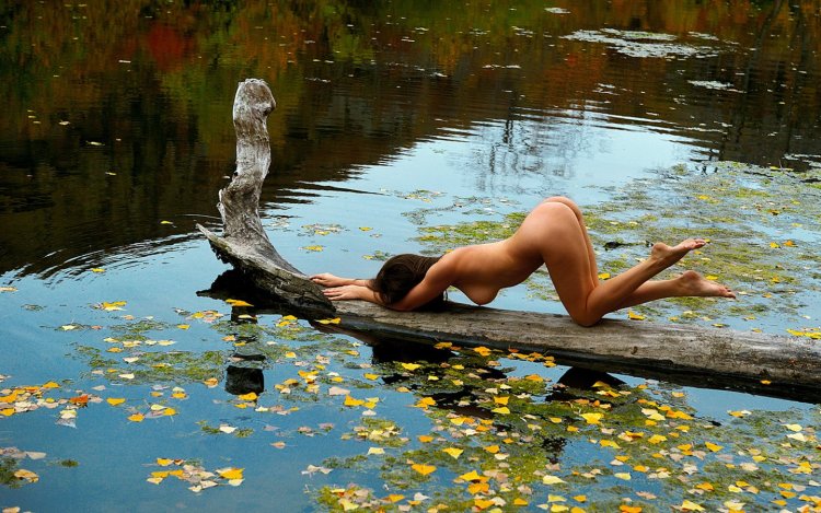 Голые бабы купаются в пруду