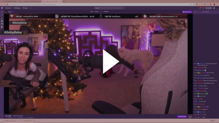 Alinity Divine собака