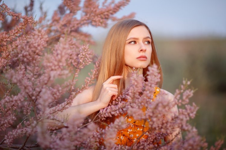 Костина Дарья Сергеевна