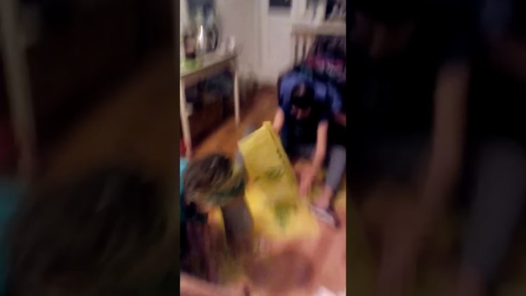 Анна шатова