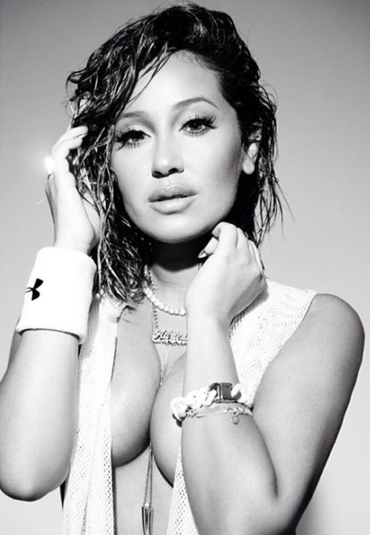 Казахстанская модель Бибисара