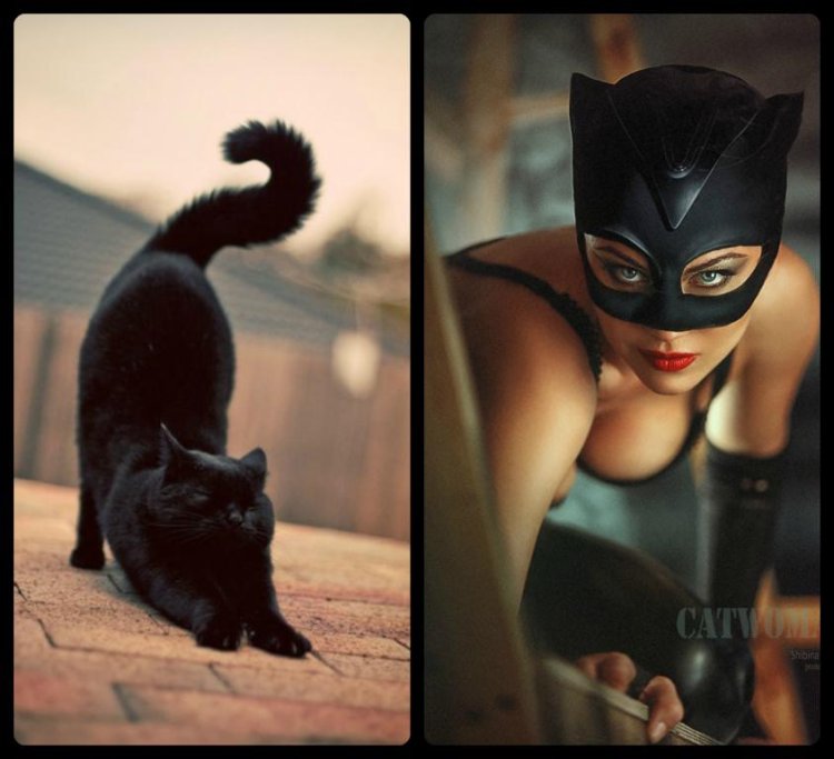 Лаура Кэтвумен