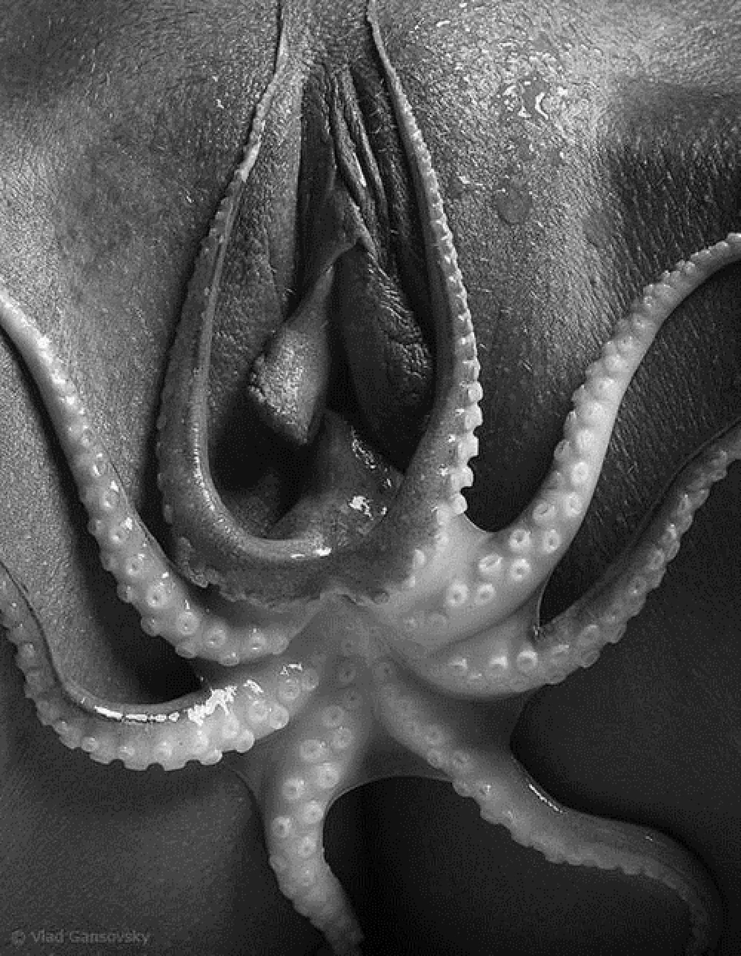 как осьминог женщину трахал фото 117