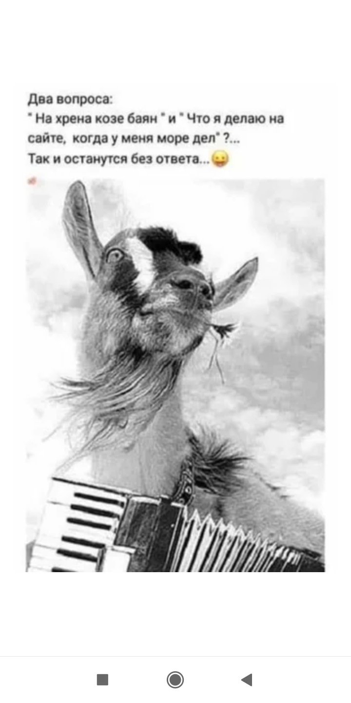 Сергей Иванцов баян