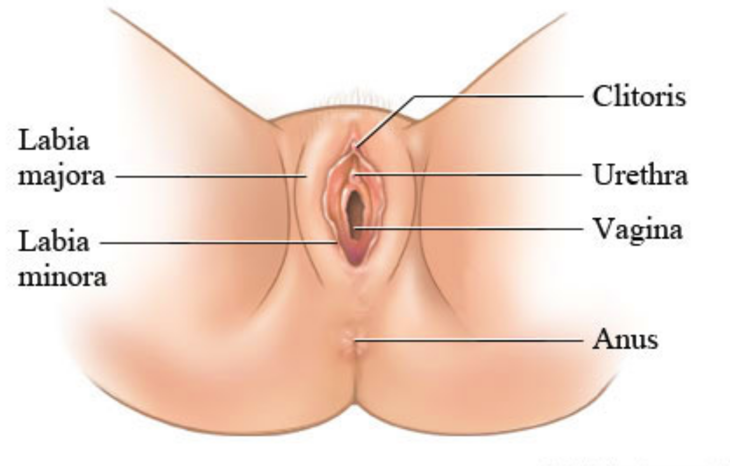 размер клитора влияет на оргазм фото 35