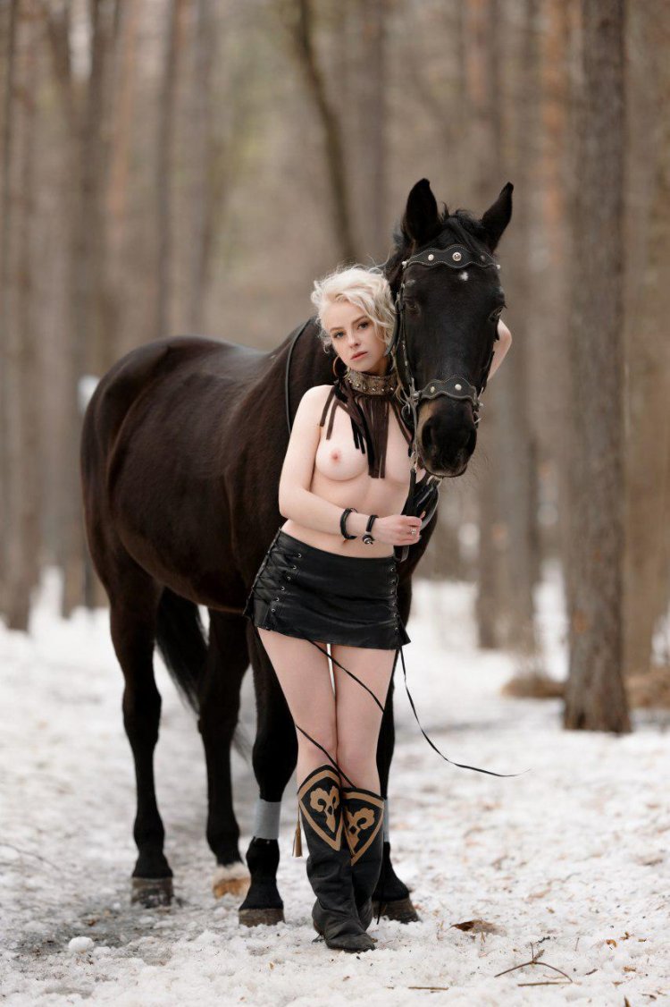 Три богатыря Аленушка арт