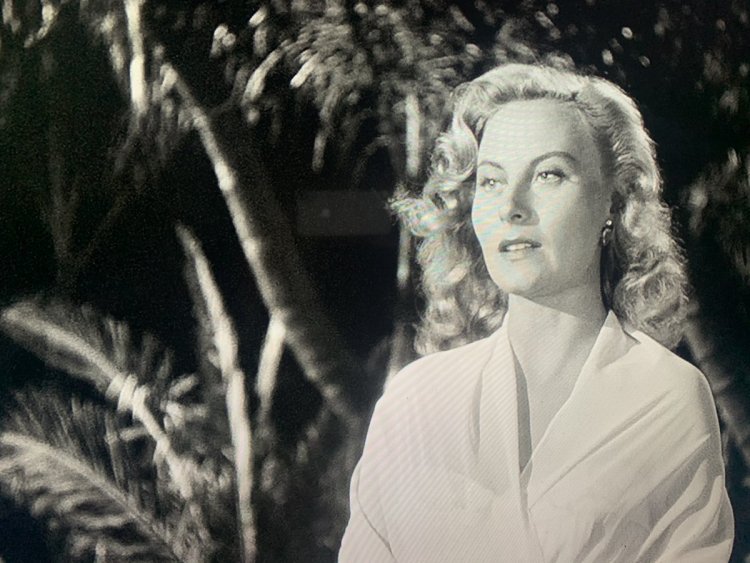 Джеффри Дин Морган постельные сцены