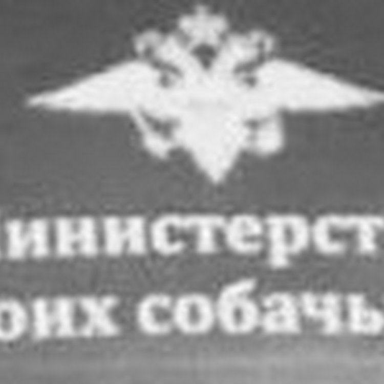 Вероника Блэк в очках