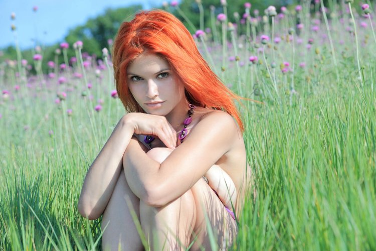 Violla a модель