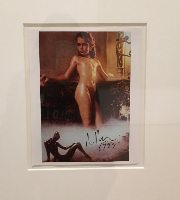 Брук Шилдс Гарри Гросс nude