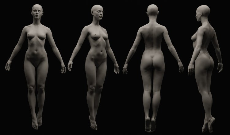 Тело женщины спереди голое