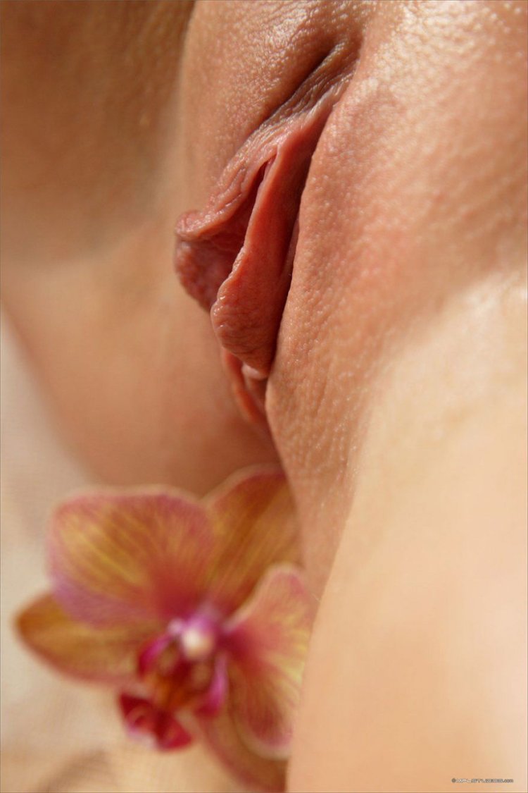 Картинки для Инстаграм эротические жена