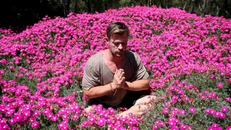 Хемсворт крис