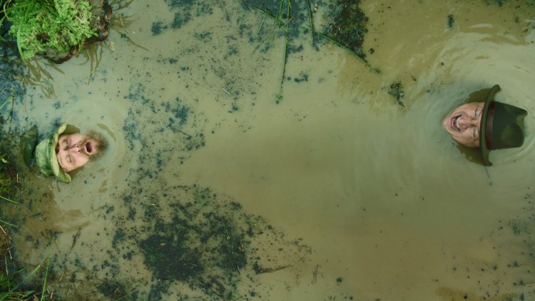 Человек тонет в болоте