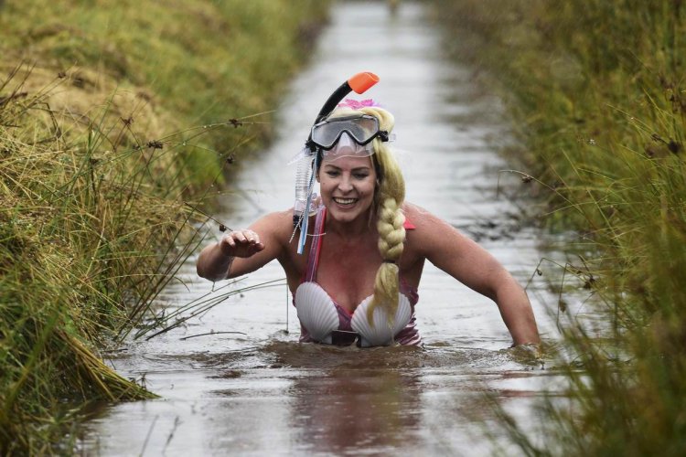 Русалка в болоте арт