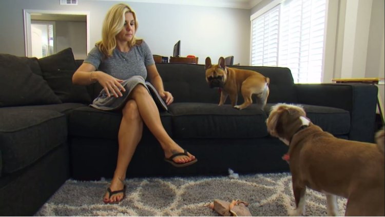 Бренди Пассанте