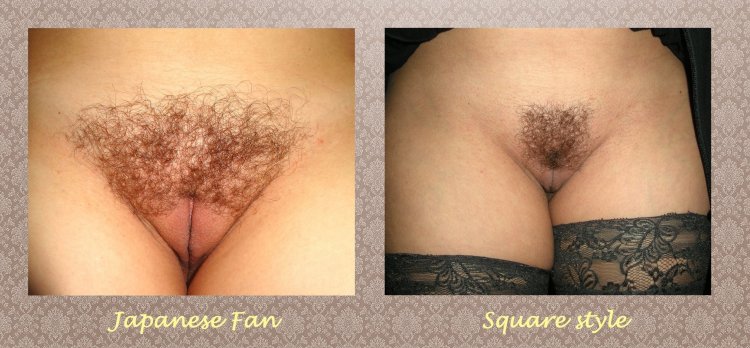 Женские интимные прически