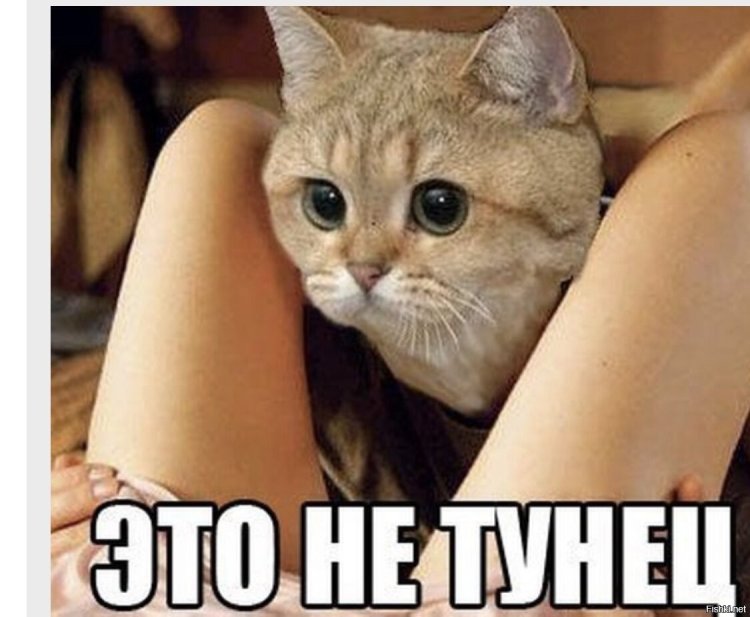 Шайла Стайлз секретарша