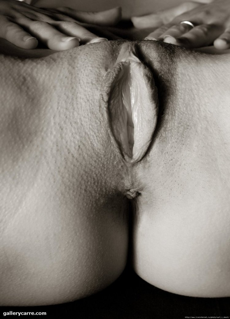 Красивые женские писечки