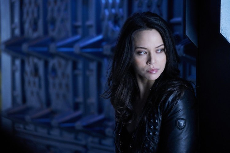 Мелисса о Нил тёмная материя