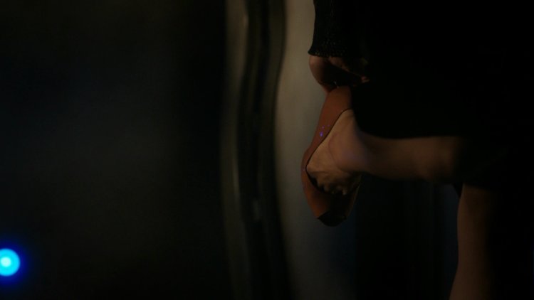 Эллен Вонг темная материя