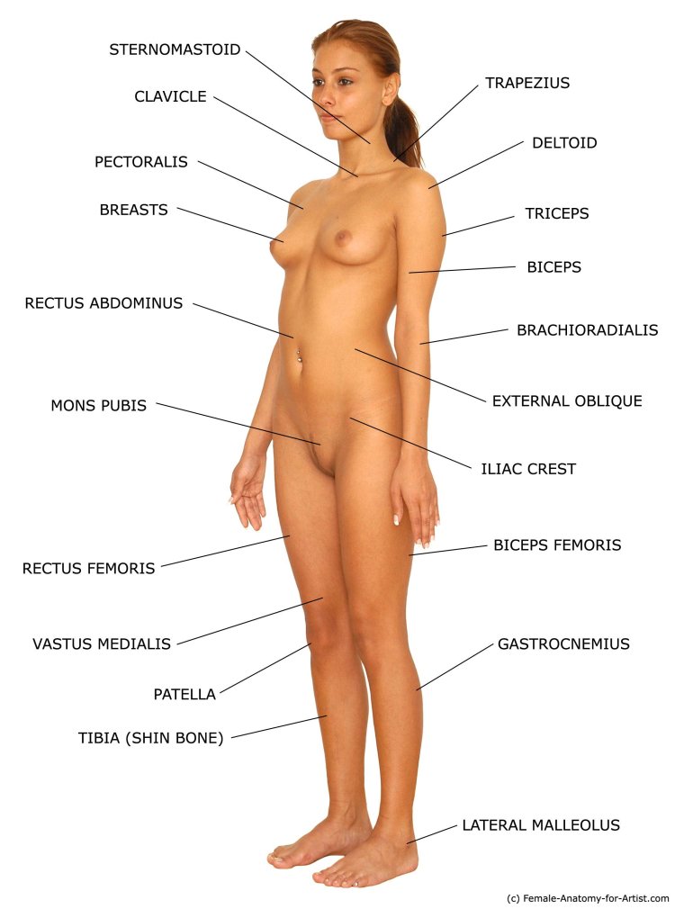 Рэйчел Картер фитнес ню