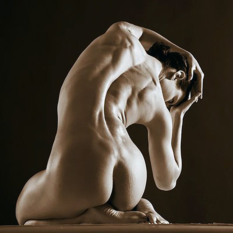 Тела женщины ню анатомия