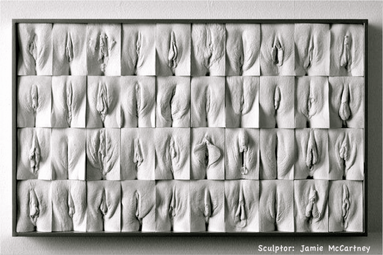 Джейми маккартни великая стена вагин