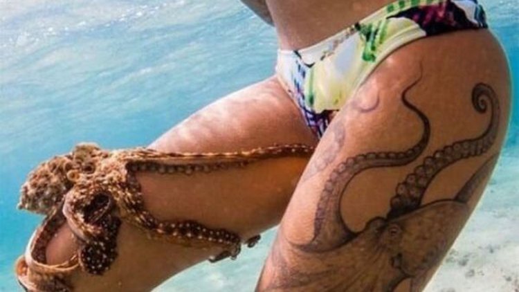 Тату осьминог тату на вагине