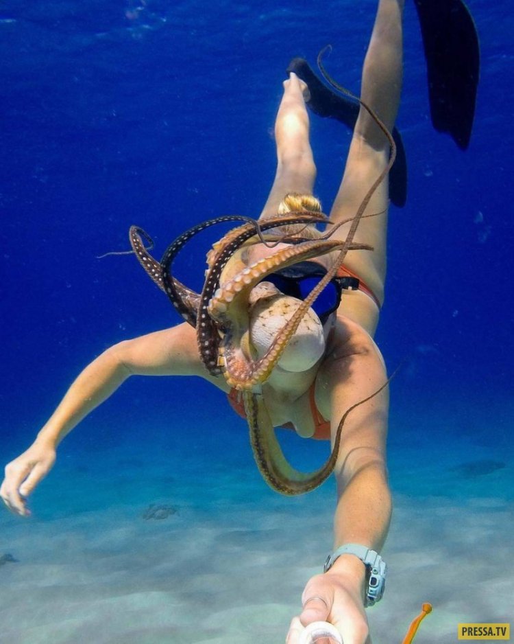 Дама с осьминогом