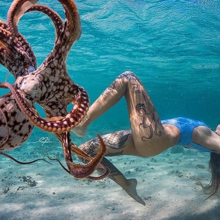 Девушка с осьминогом