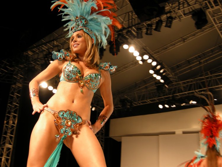 Пока карнавал